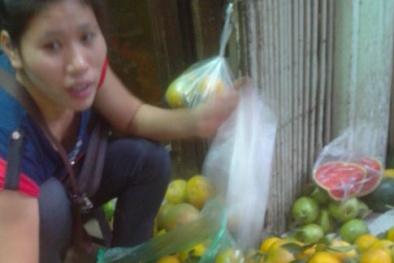 Cam Trung Quốc đội lốt cam Vinh